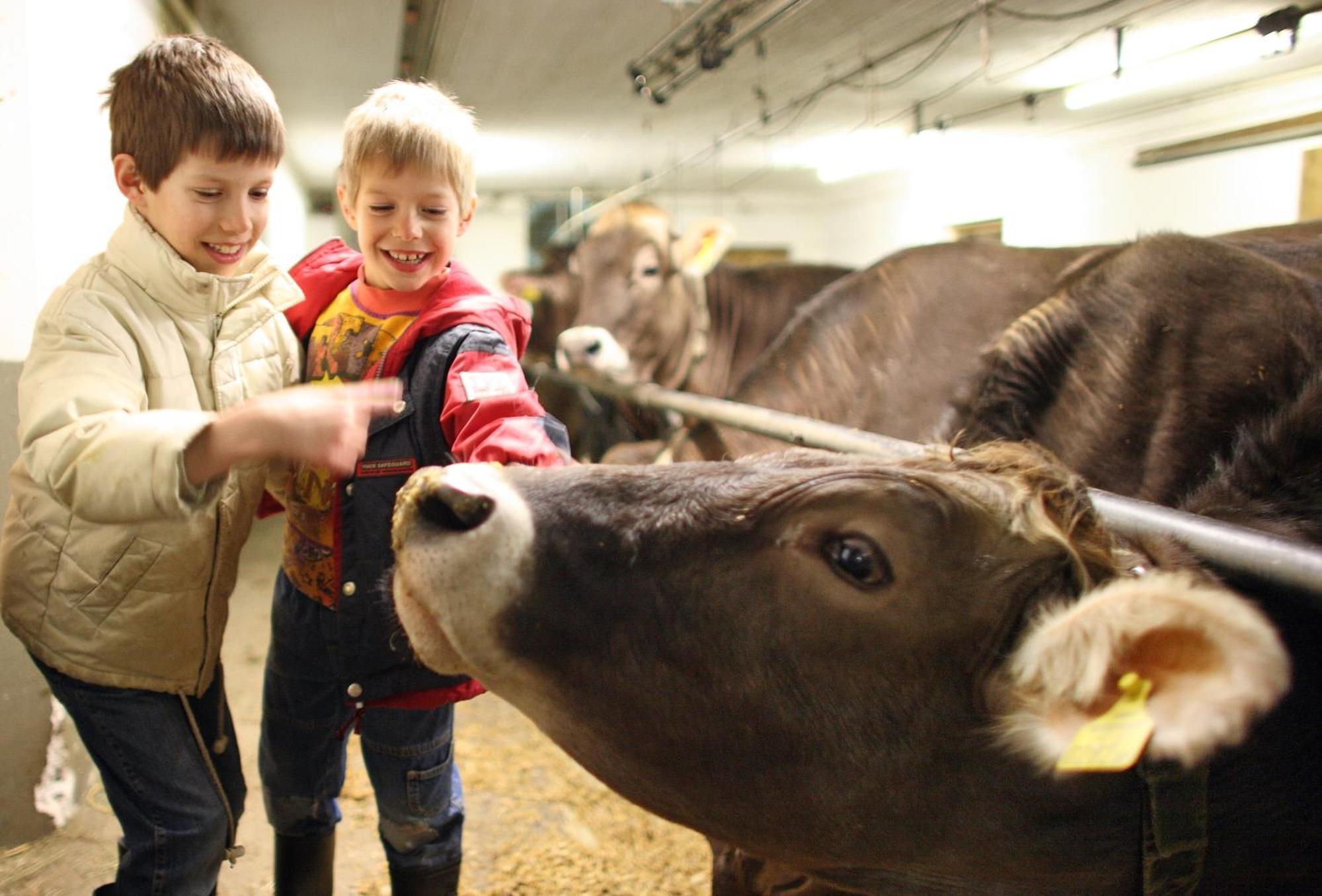 Kinderbauernhof Leneler Arzl im Pitztal Ngoại thất bức ảnh